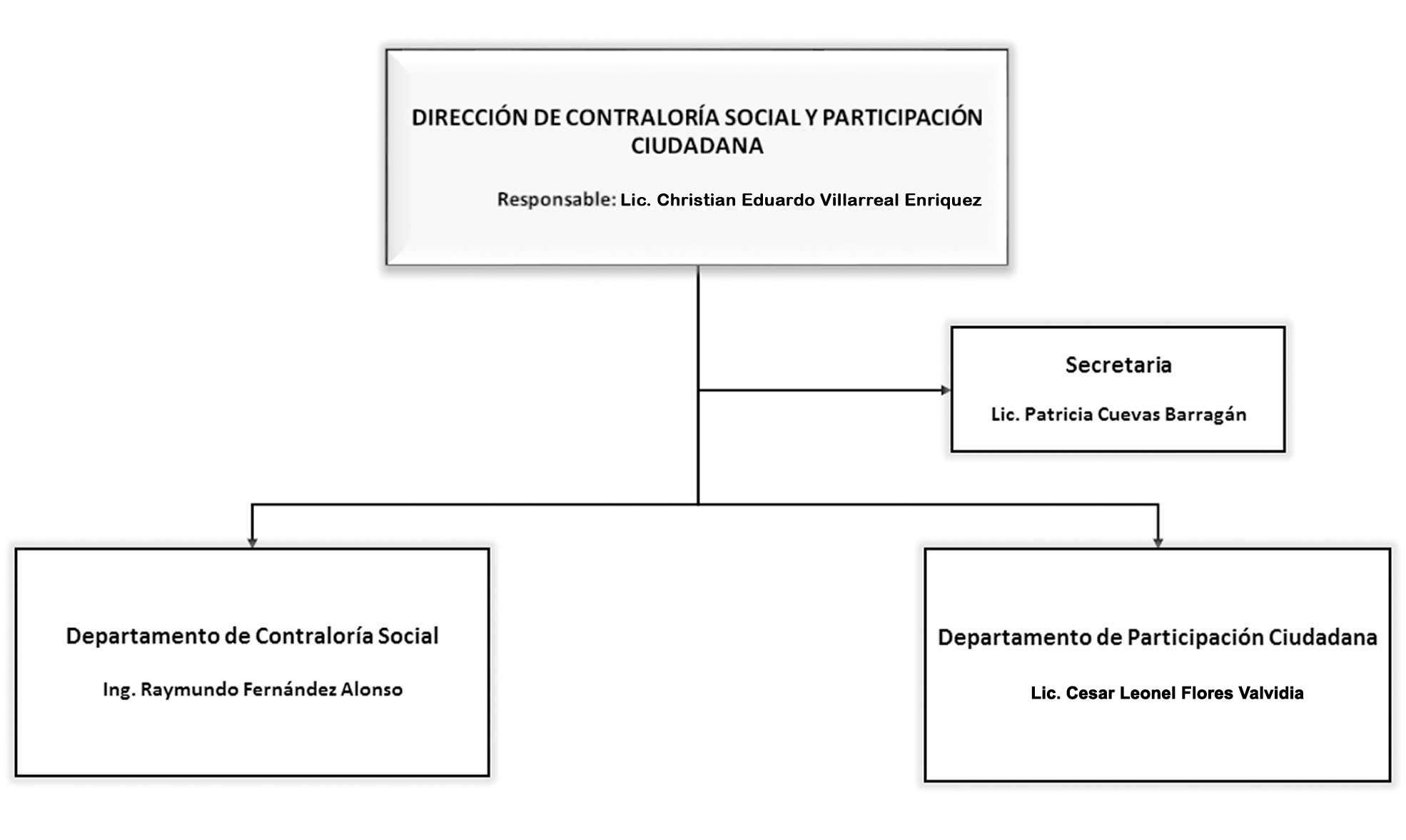 Organigrama