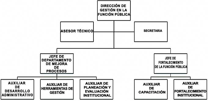 Organigrama